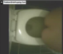 A female shitting ass on a toilet with a voyeuristic flavor. Full audio included.